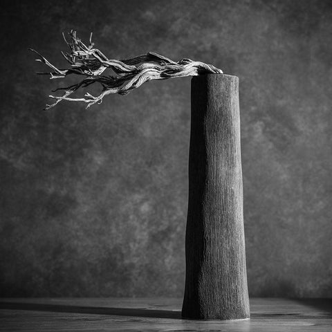 Chimney Black Modern Wood Framed Art Print by Weiss, Konstantin