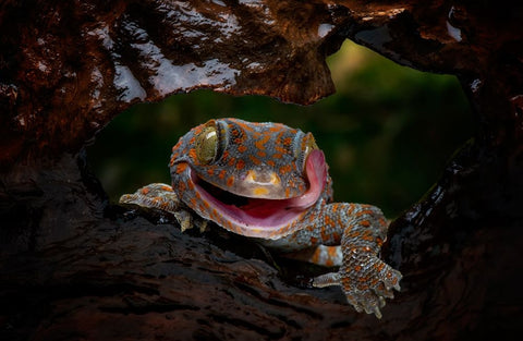 Smiley White Modern Wood Framed Art Print with Double Matting by Suharini, Mieke