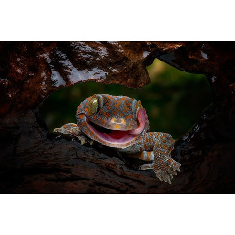 Smiley Black Modern Wood Framed Art Print by Suharini, Mieke