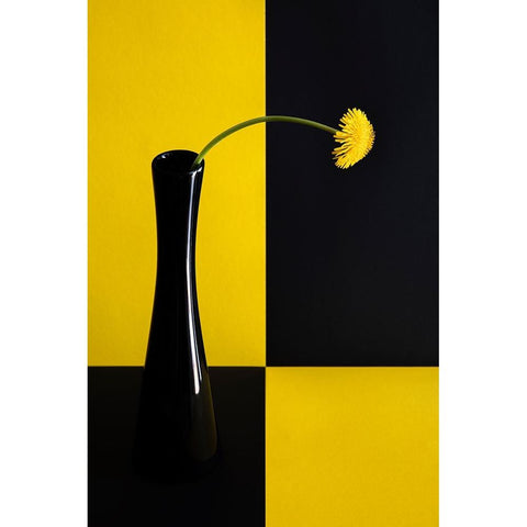 Still life with dandelion White Modern Wood Framed Art Print by Hrabinsky, Peter