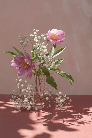 Light a shadow Black Ornate Wood Framed Art Print with Double Matting by Basso, Donatella