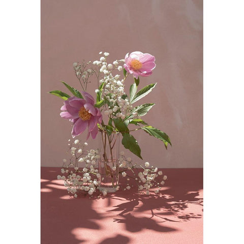 Light a shadow Black Modern Wood Framed Art Print with Double Matting by Basso, Donatella