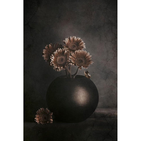 Wandering Shadows White Modern Wood Framed Art Print by Kiral, Cicek