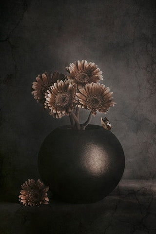 Wandering Shadows Black Ornate Wood Framed Art Print with Double Matting by Kiral, Cicek