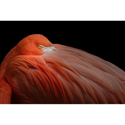 Untitled Black Modern Wood Framed Art Print by Pandya, Hardik