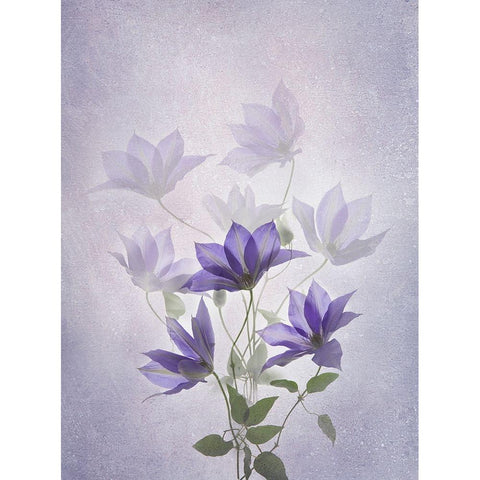 Purple Clematis Gold Ornate Wood Framed Art Print with Double Matting by L., Binbin