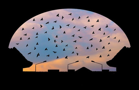 Homeward Bound Black Ornate Wood Framed Art Print with Double Matting by Nayyer Reza, Sayyed