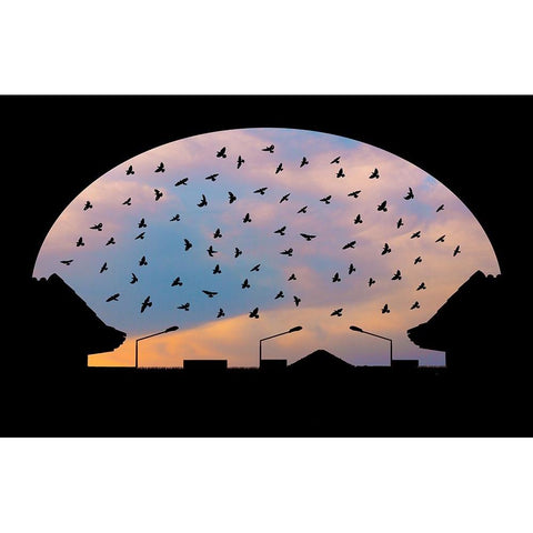 Homeward Bound Black Modern Wood Framed Art Print by Nayyer Reza, Sayyed