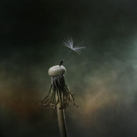 One left Black Modern Wood Framed Art Print with Double Matting by Gronkjar, Lotte