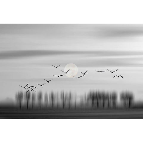 Flying free! White Modern Wood Framed Art Print by Wijers Smeets, Wilma