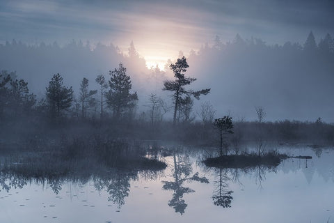 When the sun wakes up Black Ornate Wood Framed Art Print with Double Matting by Pettersson, Benny