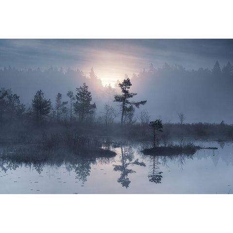 When the sun wakes up Black Modern Wood Framed Art Print by Pettersson, Benny
