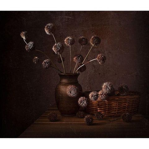 Dry life Black Modern Wood Framed Art Print with Double Matting by Perfoncio, Margareth