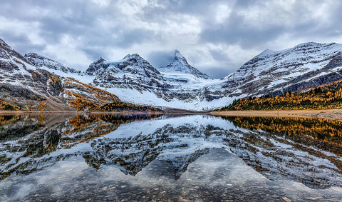 Assiniboine reflection Black Ornate Wood Framed Art Print with Double Matting by Lin, Ning