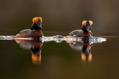 Breakfast Black Ornate Wood Framed Art Print with Double Matting by The Jar