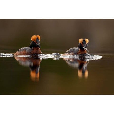 Breakfast Black Modern Wood Framed Art Print by The Jar