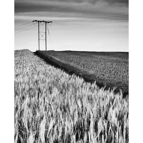 Two-tone White Modern Wood Framed Art Print by Jones-Davies, Russell