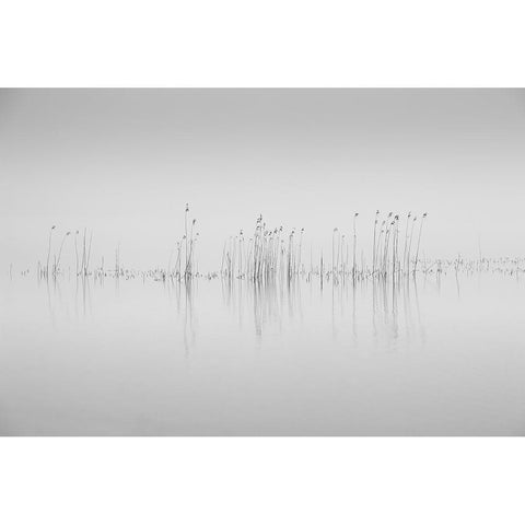 Simplicity Black Modern Wood Framed Art Print with Double Matting by Pettersson, Benny