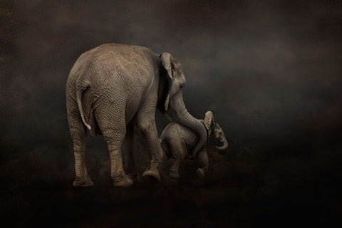 I Hold You White Modern Wood Framed Art Print with Double Matting by Wisniowska, Krystina