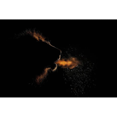 Breath Of A King Black Modern Wood Framed Art Print with Double Matting by Catta, Alessandro