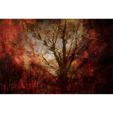 Forest on fire Black Modern Wood Framed Art Print by Van Krimpen, Brigitte