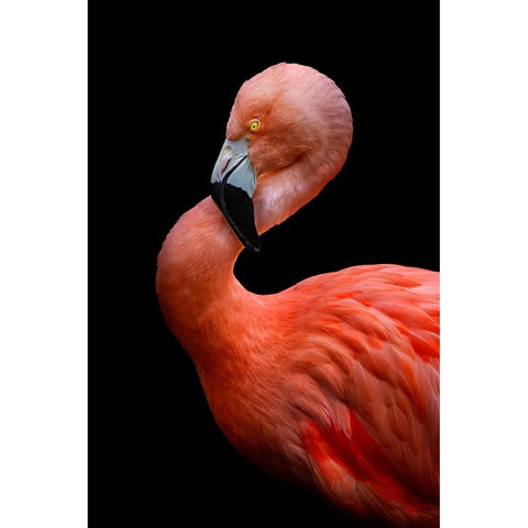 Untitled Black Modern Wood Framed Art Print with Double Matting by Pandya, Hardik