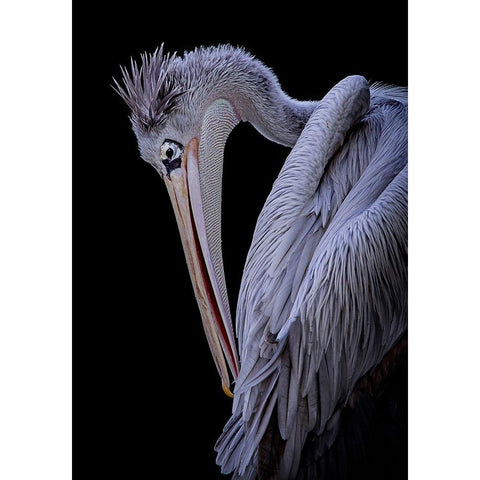 Untitled White Modern Wood Framed Art Print by Pandya, Hardik