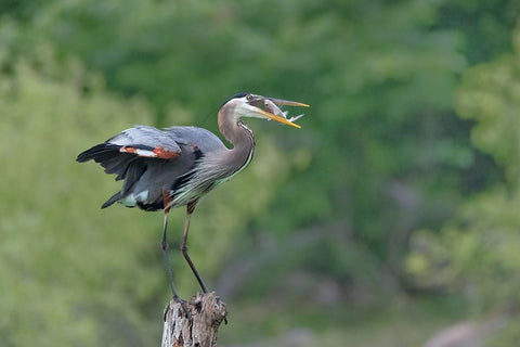 A Good Place To Enjoy The Meal White Modern Wood Framed Art Print with Double Matting by Xu, Sheila