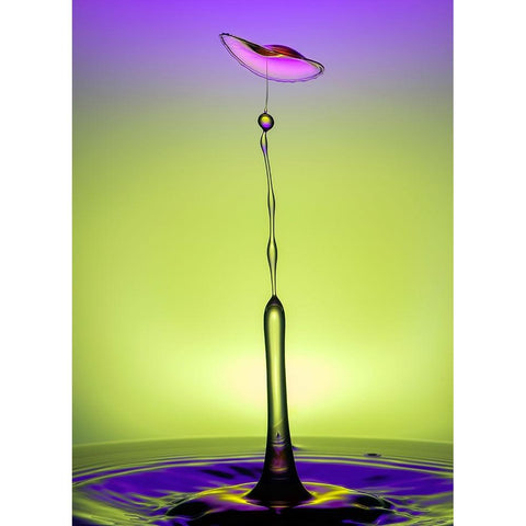 Drop Dance Black Modern Wood Framed Art Print by Sayadi, Yousef