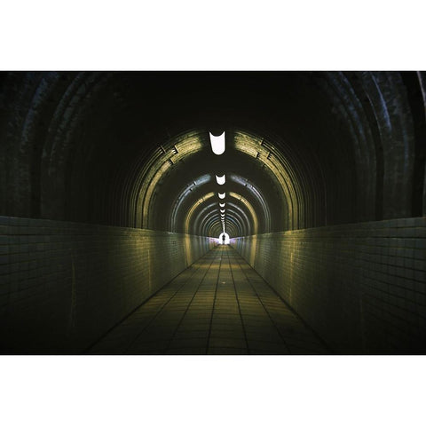 Tunnel, go ahead Gold Ornate Wood Framed Art Print with Double Matting by Kiri, Reiko