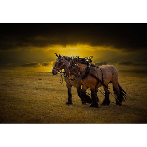 Horse III Gold Ornate Wood Framed Art Print with Double Matting by Philippe, Laruelle