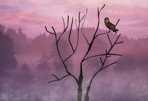 Pink Sky in the Morning Black Ornate Wood Framed Art Print with Double Matting by A. Fletcher, Barbara