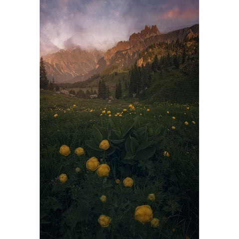 Dolomiti Black Modern Wood Framed Art Print with Double Matting by Martin Castan, David