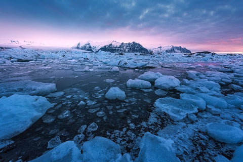 Jokulsarlon Black Ornate Wood Framed Art Print with Double Matting by Martin Castan, David