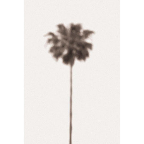 Palm Blury White Modern Wood Framed Art Print by 1x Studio III
