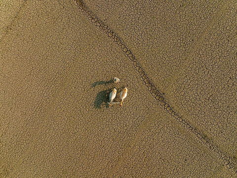 Dried Land White Modern Wood Framed Art Print with Double Matting by Khan Ronnie, Azim