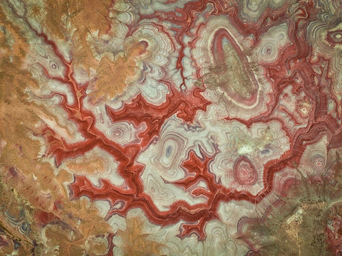 Red Dragon of The Badlands White Modern Wood Framed Art Print with Double Matting by Zheng, Michael