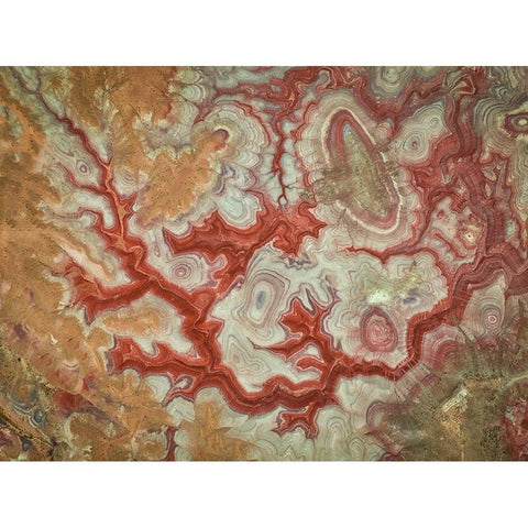 Red Dragon of The Badlands Black Modern Wood Framed Art Print by Zheng, Michael