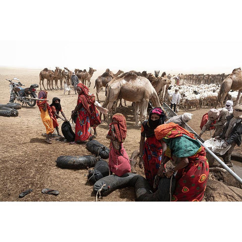 So Much ActIVity Around The Well At Borkou Desert-Tchad White Modern Wood Framed Art Print by Molina, Elena