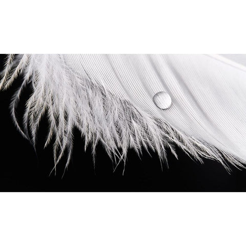 Slide White Modern Wood Framed Art Print by Sokac, Drazen