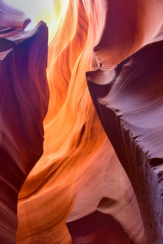 Spiraling Black Ornate Wood Framed Art Print with Double Matting by Li, Sophia