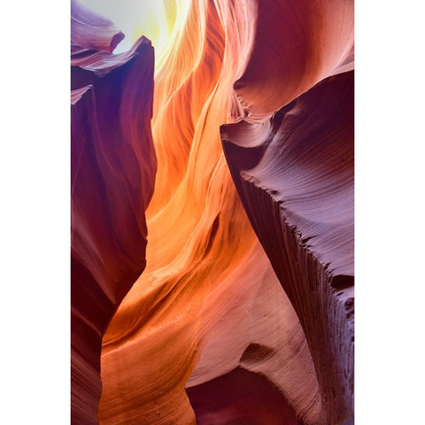 Spiraling Black Modern Wood Framed Art Print by Li, Sophia