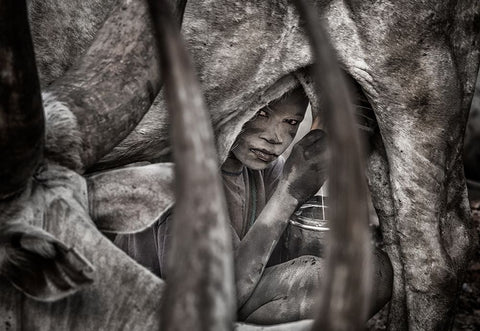 Mundari Child Milking A Cow-II - South Sudan Black Ornate Wood Framed Art Print with Double Matting by Inazio Kuesta, Joxe