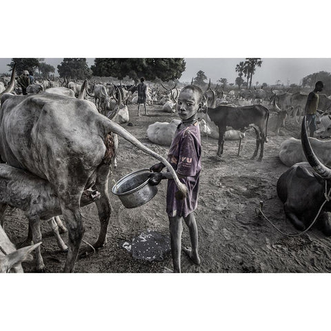 Mundari Child Filling The Container With Cow Urine - South Sudan Gold Ornate Wood Framed Art Print with Double Matting by Inazio Kuesta, Joxe