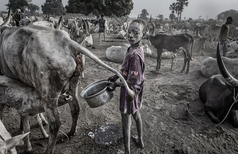 Mundari Child Filling The Container With Cow Urine - South Sudan White Modern Wood Framed Art Print with Double Matting by Inazio Kuesta, Joxe