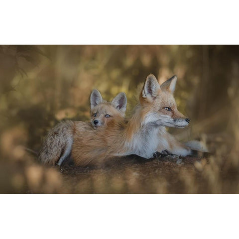 Mom Pillow Black Modern Wood Framed Art Print with Double Matting by Zhang, Ling