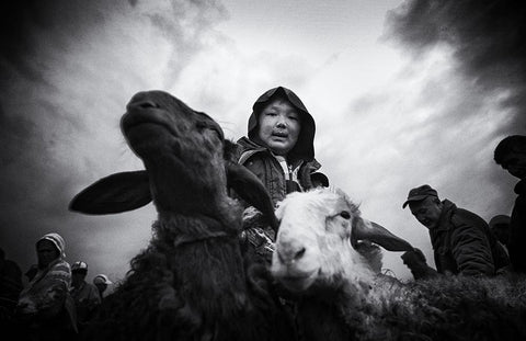 Animal Market - 1396 Black Ornate Wood Framed Art Print with Double Matting by Garik