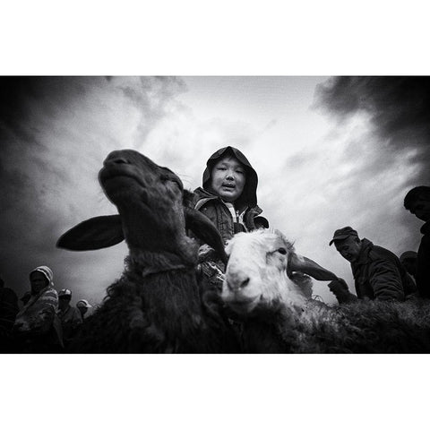 Animal Market - 1396 Black Modern Wood Framed Art Print by Garik