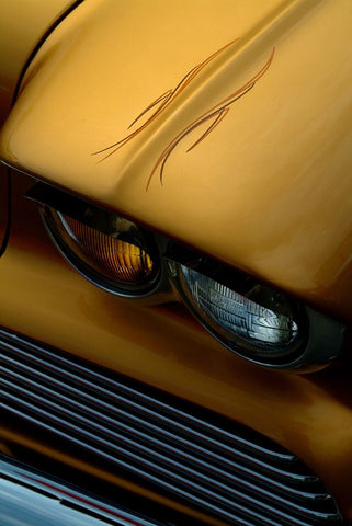 Tiger Eye Black Ornate Wood Framed Art Print with Double Matting by Peach, Don