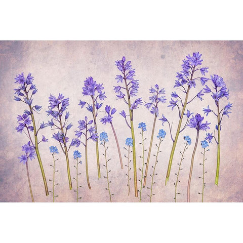 Untitled White Modern Wood Framed Art Print by Pandya, Hardik